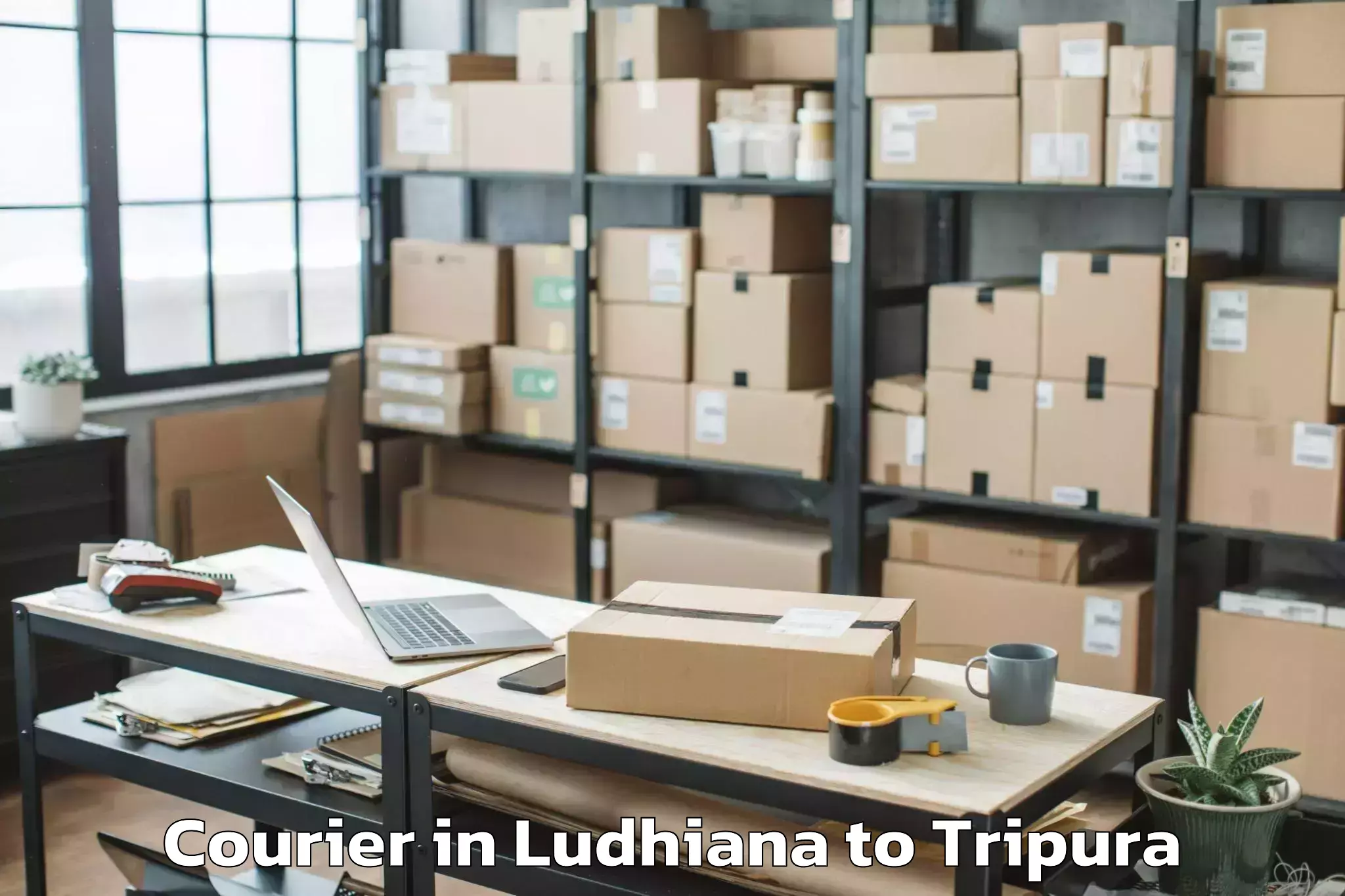 Book Ludhiana to Manu Bazar Courier